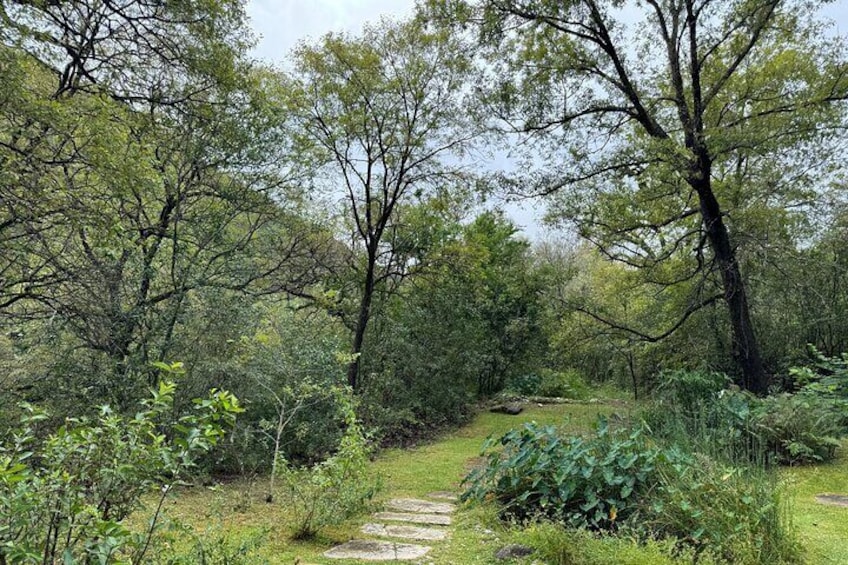 Discover Estanzuela Natural Park