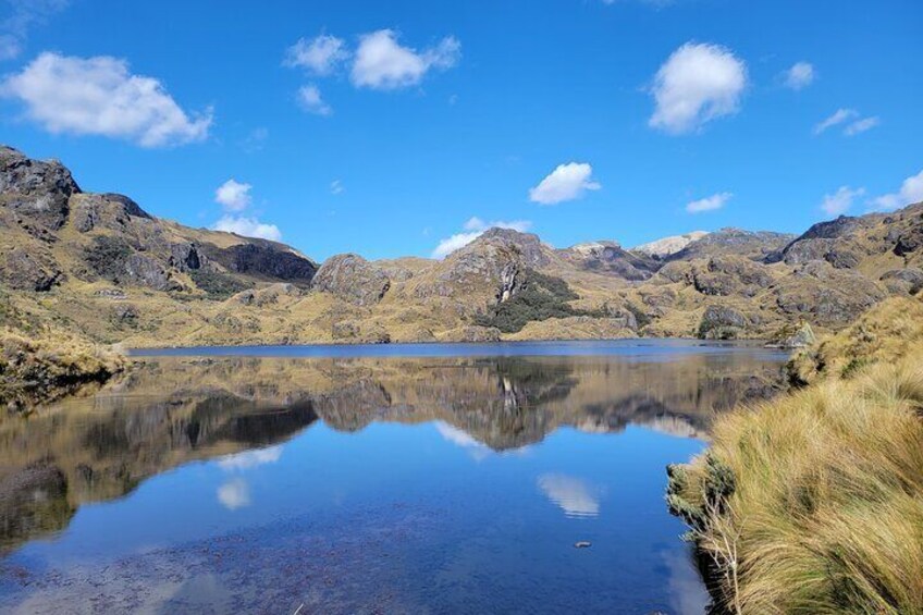 Laguna in Cajas National Park on a bright day