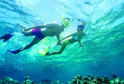 Nassau Sailing et Snorkeling Tour