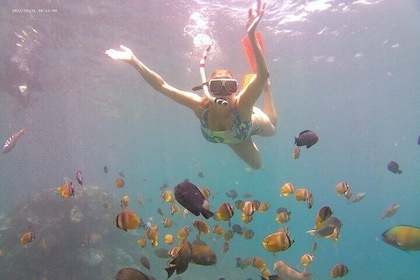 Nusa Penida 私人潛水旅遊與西島之旅