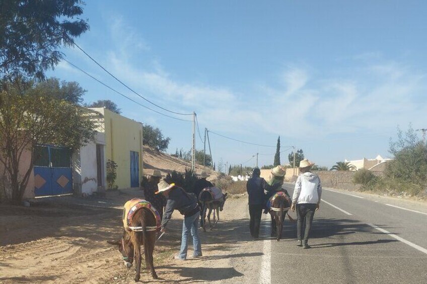 Donkey Tours A Unique Adventure Through Scenic Landscapes