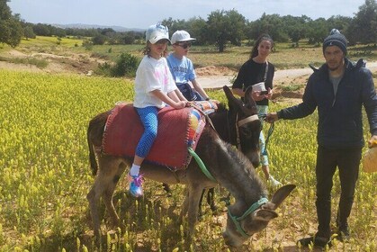 Essaouira Donkey Tours