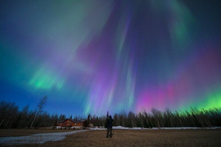 Small Group Northern Lights Tours In Interior Alaska From Fairbanks