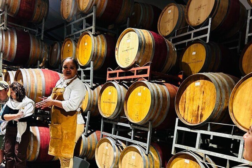 Behind the scenes of winemaking—expert insights in a cellar surrounded by oak barrels