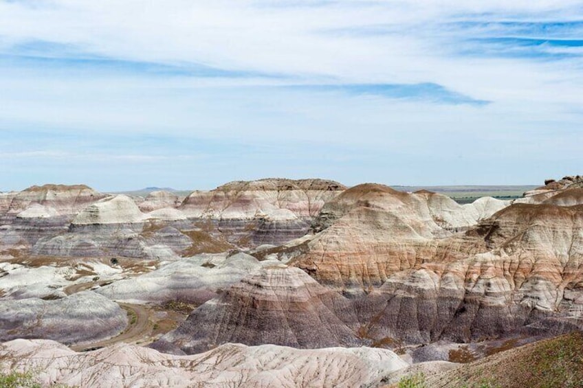 Petrified Forest