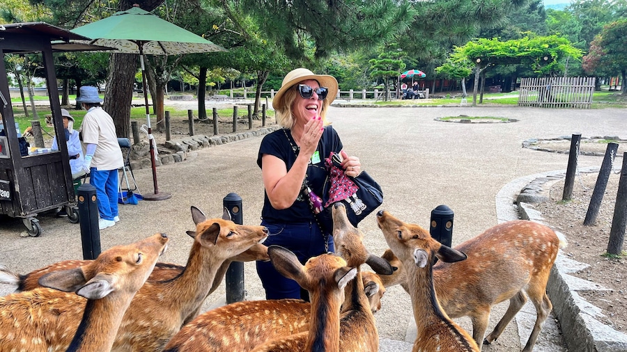 Historical Nara & Kyoto Morning Bus Tour