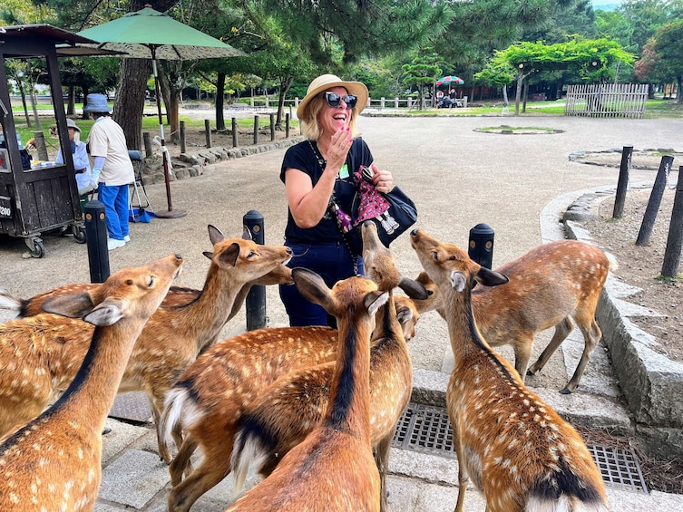 Historical Nara & Kyoto Morning Bus Tour