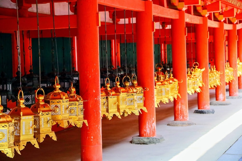 Historical Nara & Kyoto Morning Bus Tour