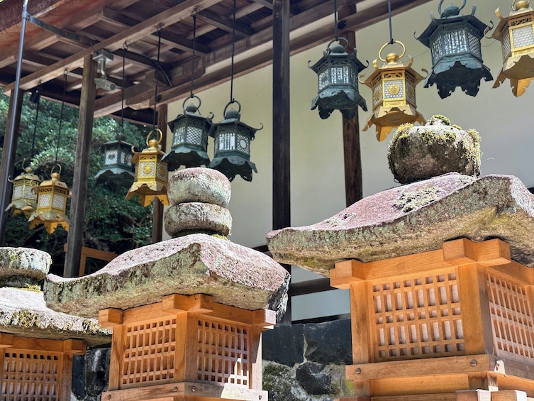 Historical Nara & Kyoto Morning Bus Tour