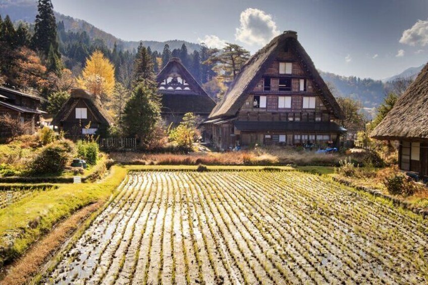 Kyoto to Gokayama ShirakawaGo Day Tour