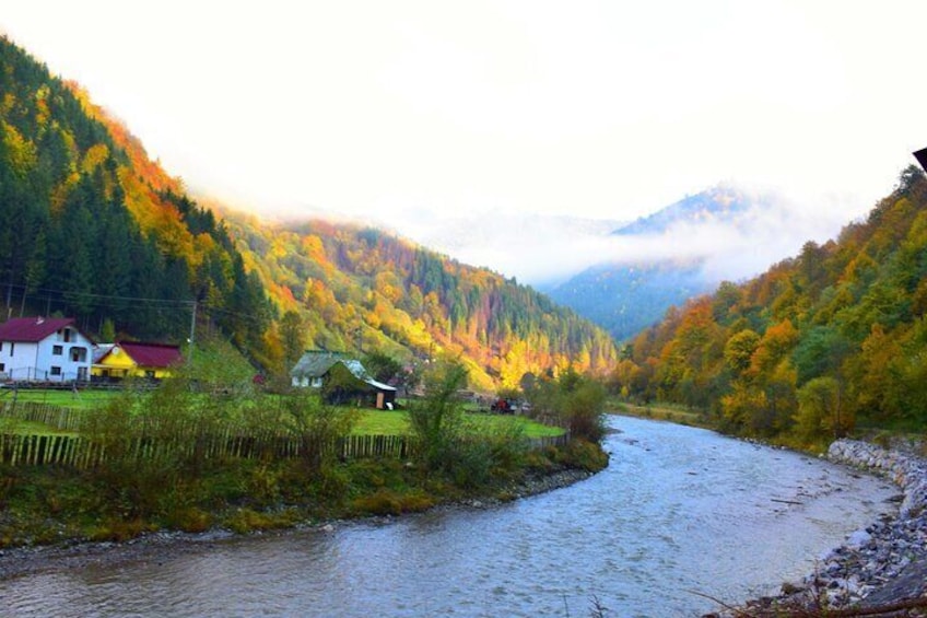 Private tour Transylvania: UNESCO Gems and the Legend of Dracula 