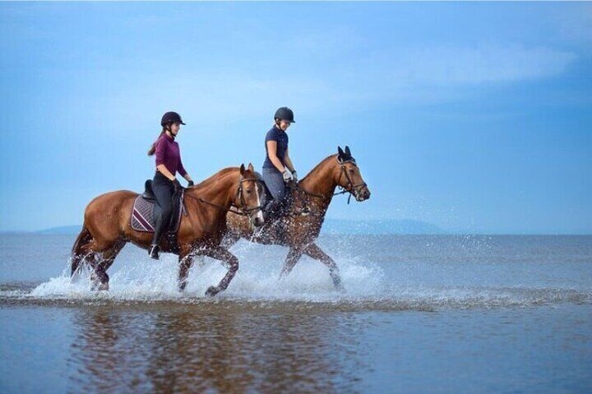 Desert and Sea Horseback Riding Tour from Hurghada