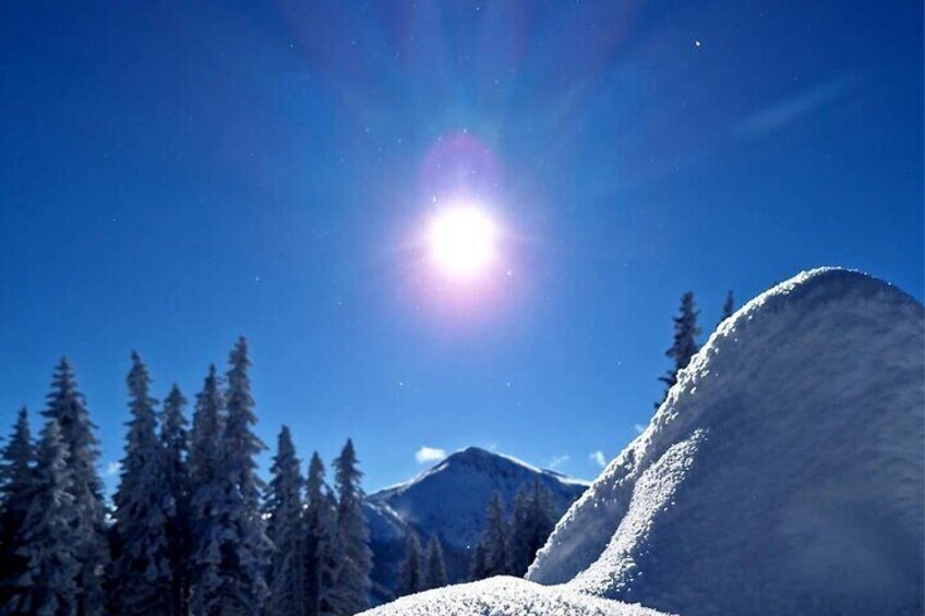 Snowshoe Hiking Tour near Zugspitze