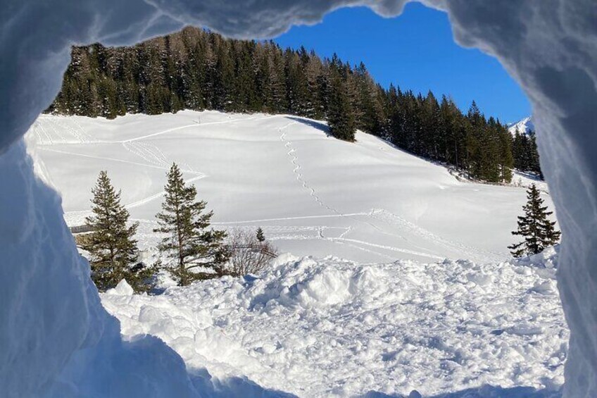 Ehrwald : Snowshoe Hiking Tour near Zugspitze