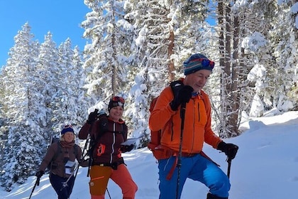 Snowshoe Hiking Tour near Zugspitze