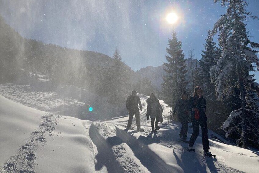 Ehrwald : Snowshoe Hiking Tour near Zugspitze