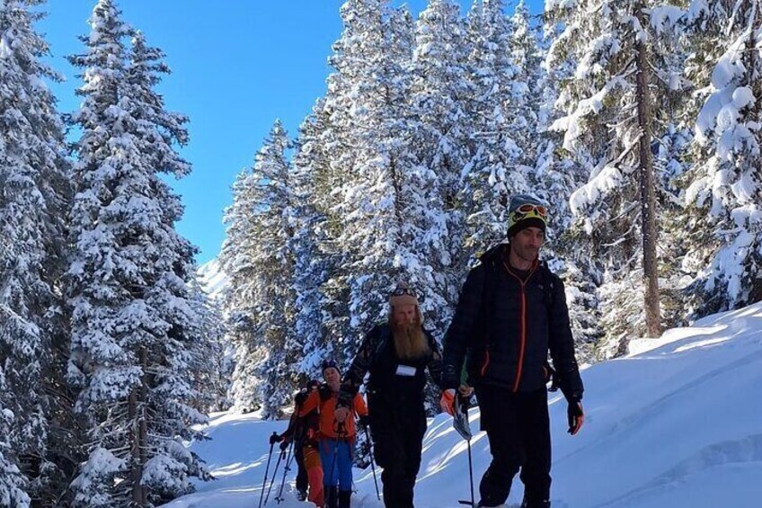 Snowshoe Hiking Tour near Zugspitze