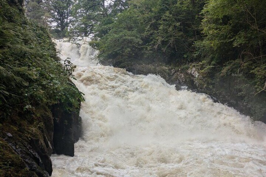 Swallow Falls