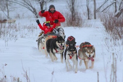 Mont Tremblant Dogsledding Valley Adventure