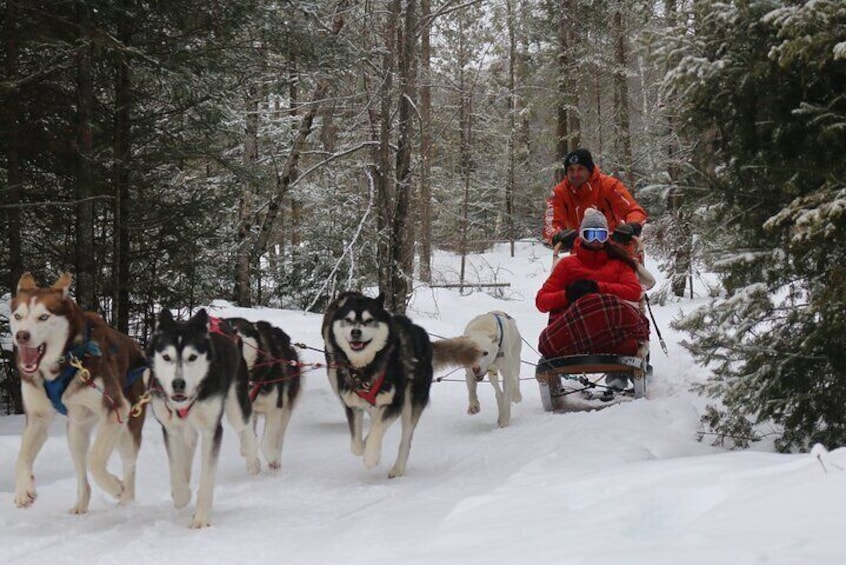 Mont Tremblant Dogsledding Valley Adventure