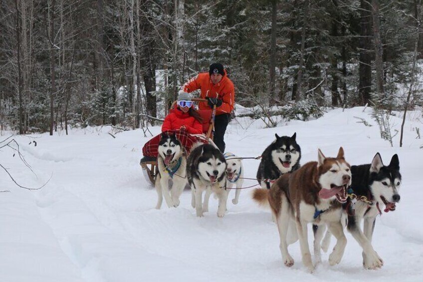 Mont Tremblant Dogsledding Valley Adventure