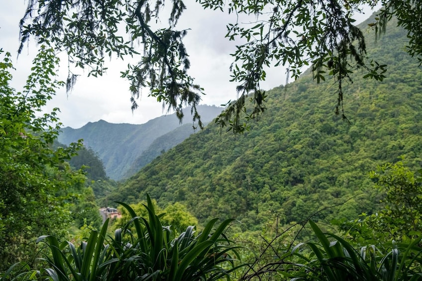 Deluxe Eastern Madeira Tour wiht local lunch and Levada Walk