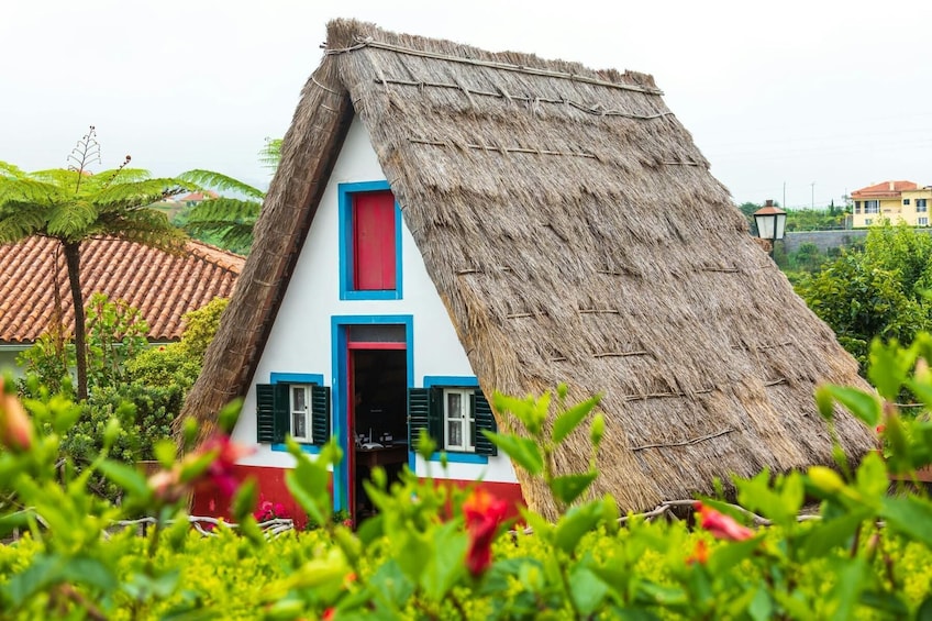 Deluxe Eastern Madeira Tour wiht local lunch and Levada Walk