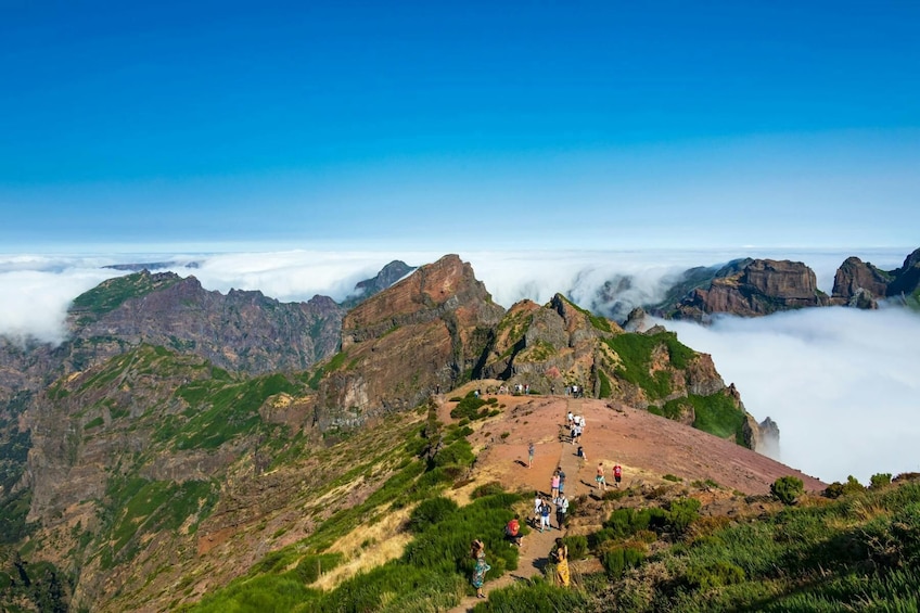 Deluxe Eastern Madeira Tour wiht local lunch and Levada Walk