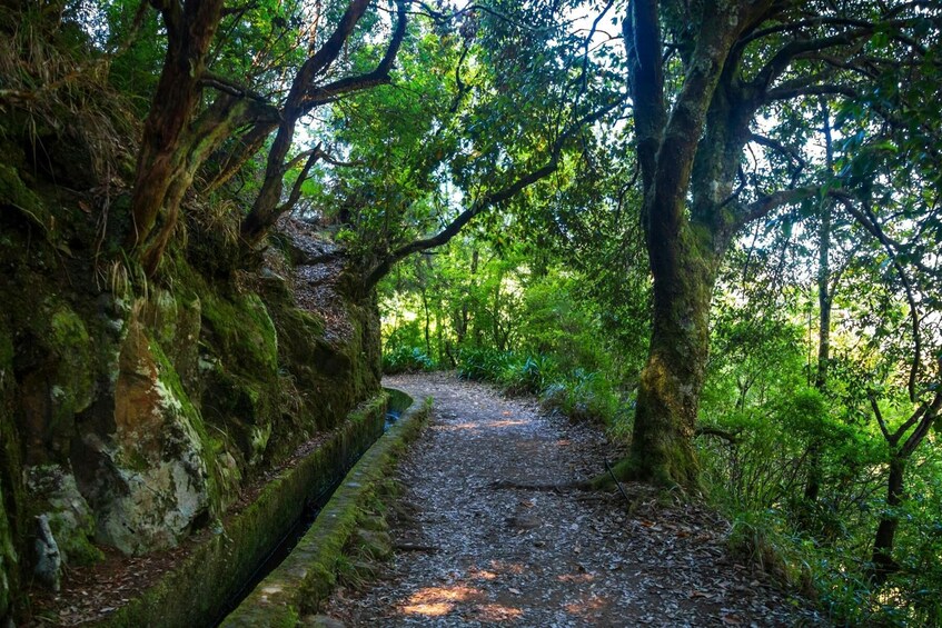 Deluxe Eastern Madeira Tour wiht local lunch and Levada Walk