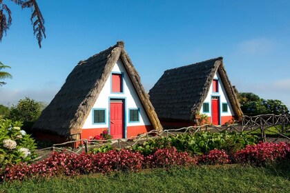 Deluxe rundtur på östra Madeira med lokal lunch och Levada Walk