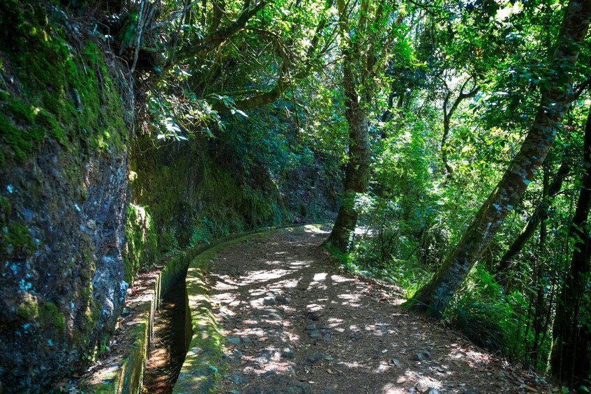 Deluxe Eastern Madeira Tour wiht local lunch and Levada Walk