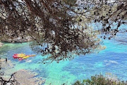 Awaken the Adventure! Kayak at 8am