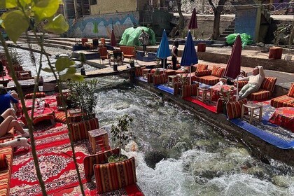 Marrakesch: Atlasgebirge, Ourika-Wasserfälle, lokaler Guide und Mittagessen