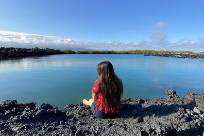 Snorkelling and Fauna Observation at Las Tintoreras Islet