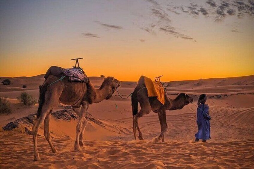 4 Day Private Tour Casablanca, Fez Merzouga Desert and Marrakech