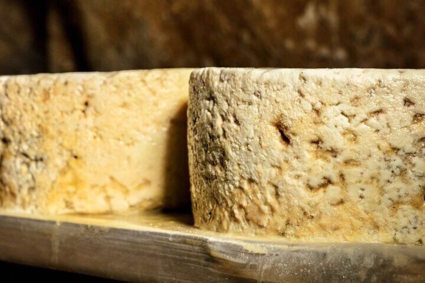 Oviedo Tour Picos de Europa and cheese tasting Cabrales