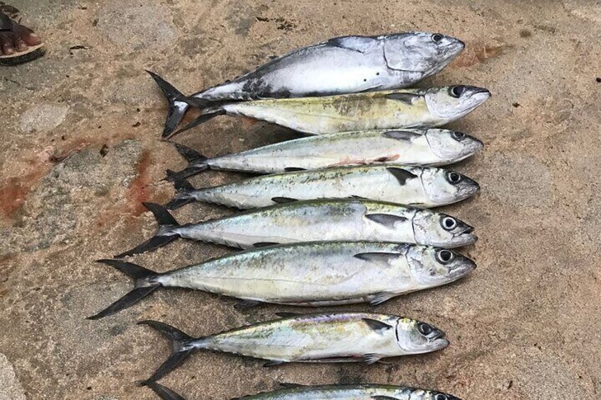 Fishing in Waikiki