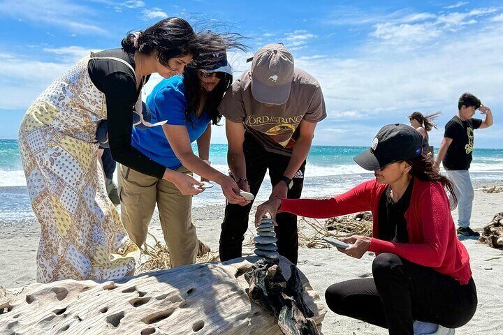 Franz Josef to Wanaka Small Group Tour-One Way