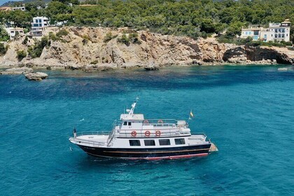 Morning Palma Bay Boat Tour with Food