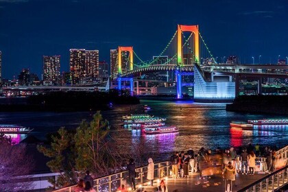 Private Tour in Tokyo 5 Cities and 10 Points Day or Night