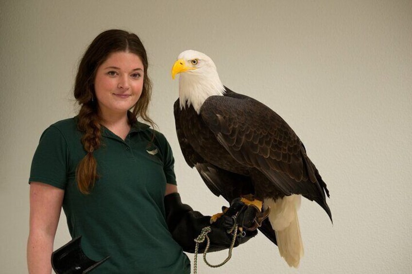 Live Raptor Presentation