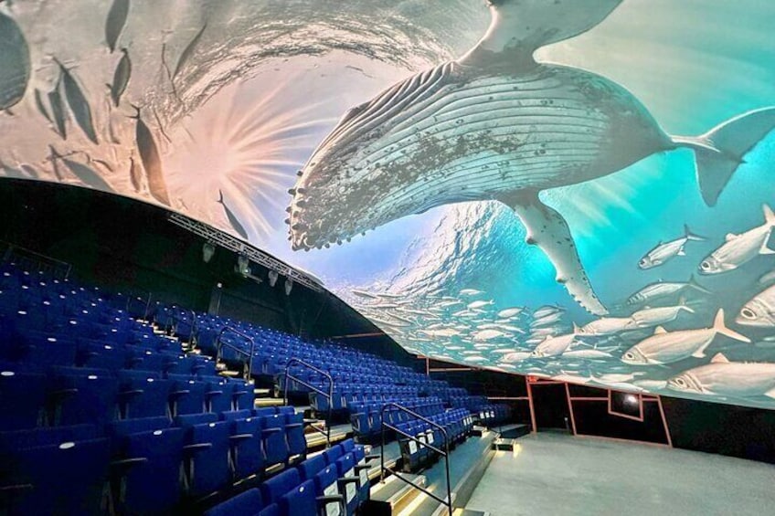 Alaska Largest Dome Theater
