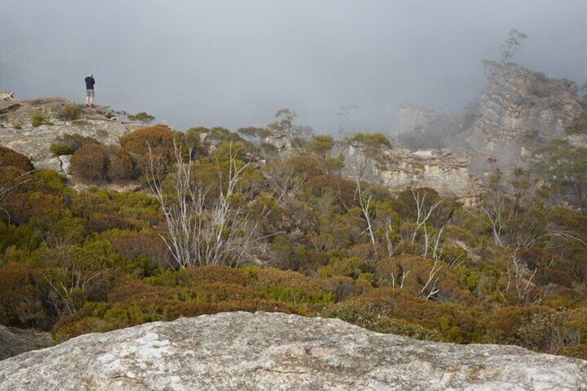 Boutique Blue Mountains Wilderness Wildlife and Sunset Adventure