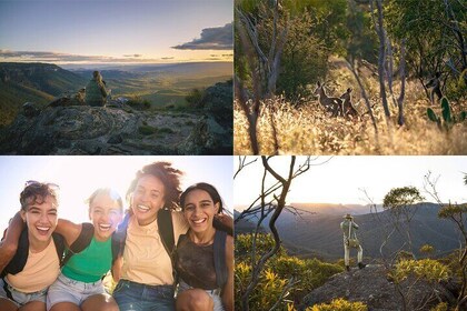 Boutique Blue Mountains Wilderness Wildlife and Sunset Adventure