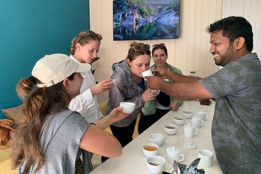 Tea Tasting experience