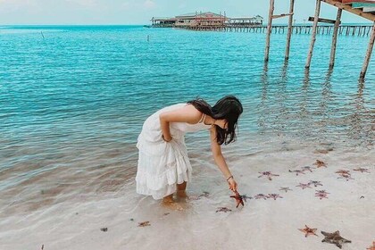 Northern Phu Quoc Day Tour : Starfish Beach, Rach Vem Village.