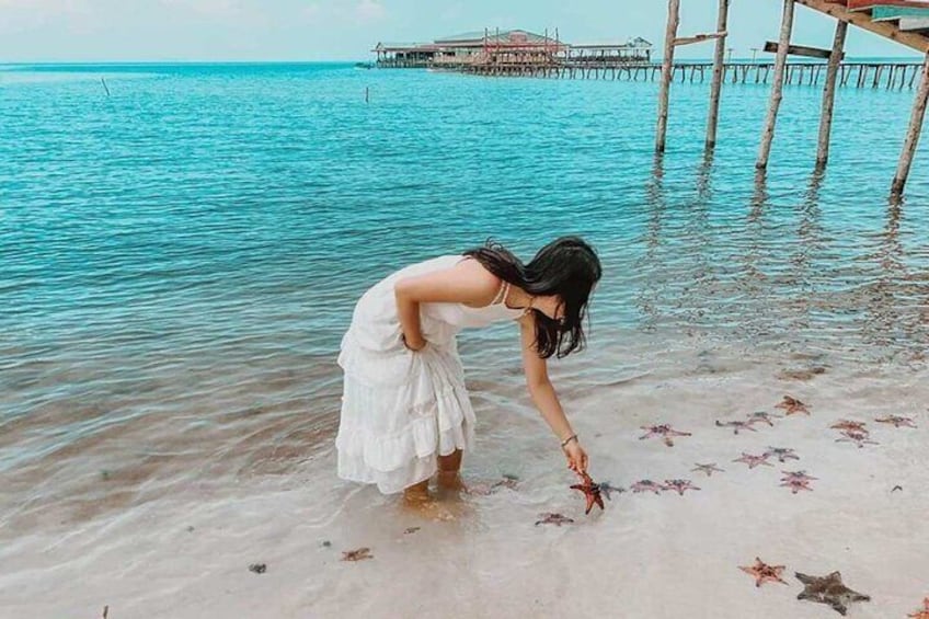 Spot colourful starfishes at Rach Vem Beach
