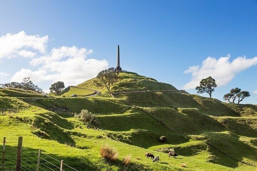 Auckland City Highlights Private Tour