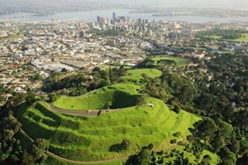 Auckland City Highlights Private Tour