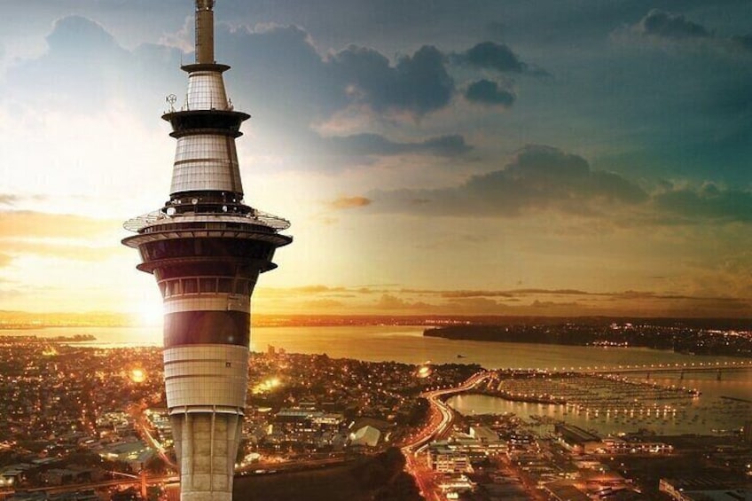 Auckland City Highlights Private Tour